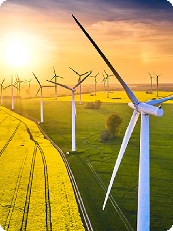 Environmental feasibility studies